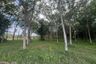 Land for sale in Khok Kloi, Phang Nga