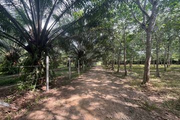 Land for sale in Bang Thong, Phang Nga
