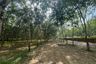 Land for sale in Bang Thong, Phang Nga