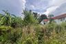 Land for sale in Khok Kloi, Phang Nga