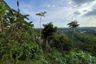 Land for sale in Khok Kloi, Phang Nga