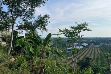 Land for sale in Khok Kloi, Phang Nga