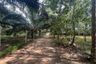 Land for sale in Bang Thong, Phang Nga