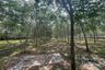 Land for sale in Bang Thong, Phang Nga