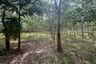 Land for sale in Bang Thong, Phang Nga