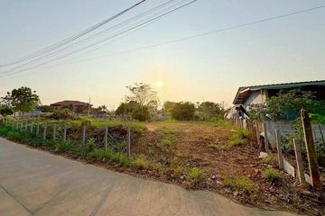 Land for sale in Pong, Chonburi