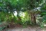 Land for sale in Nong Prue, Chonburi