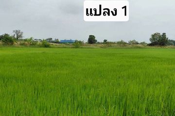 Land for sale in Nong Hong, Chonburi