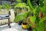3 Bedroom House for rent in Thanon Phetchaburi, Bangkok near MRT Ratchathewi
