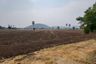 Land for sale in Nong Ong, Suphan Buri