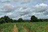 Land for sale in Nong-Kham, Chonburi