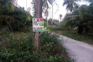 Land for sale in Pak Phun, Nakhon Si Thammarat