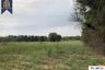 Land for sale in Na Wang Hin, Chonburi