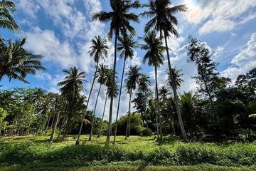 Land for sale in Mae Nam, Surat Thani