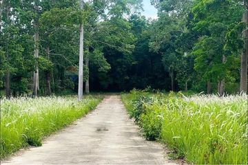 Land for sale in Na Mueang, Surat Thani