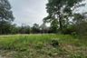 Land for sale in Na Mueang, Surat Thani
