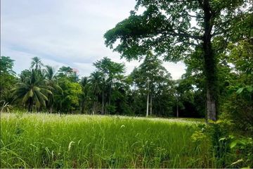 Land for sale in Na Mueang, Surat Thani