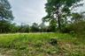 Land for sale in Na Mueang, Surat Thani