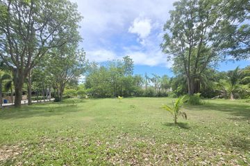 Land for sale in Nong Prue, Chonburi