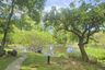 Land for sale in Nong Prue, Chonburi