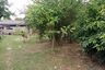 Land for sale in Bang Nak, Narathiwat