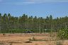 Land for sale in Hin Kong, Ratchaburi