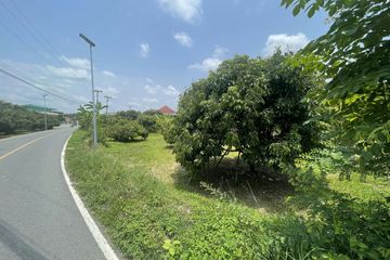 Land for sale in Tha Wang Phrao, Chiang Mai