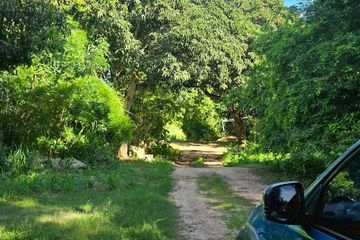 Land for sale in Takhian Tia, Chonburi
