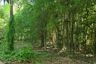 Land for sale in Takhian Tia, Chonburi