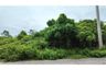 Land for sale in Bo Phut, Surat Thani