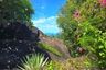 Land for sale in Maret, Surat Thani