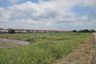 Land for rent in Tha Kham, Bangkok