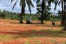 Land for sale in Nong Thale, Krabi