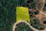 Land for sale in Bo Phut, Surat Thani