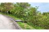 Land for sale in Bo Phut, Surat Thani
