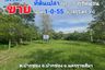 Land for sale in Pak Chong, Nakhon Ratchasima