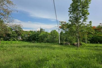 Land for sale in Pak Chong, Nakhon Ratchasima
