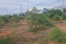 Land for sale in Samo Khae, Phitsanulok