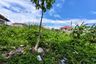 Land for sale in Bang Pakok, Bangkok