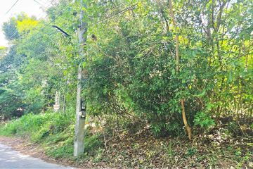 Land for sale in Bo Phut, Surat Thani