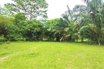 Land for sale in Bo Phut, Surat Thani