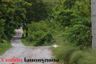 Land for sale in Cha-om, Saraburi