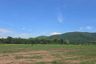 Land for sale in Nam Phi, Uttaradit