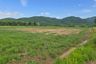 Land for sale in Nam Phi, Uttaradit