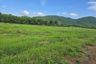 Land for sale in Nam Phi, Uttaradit