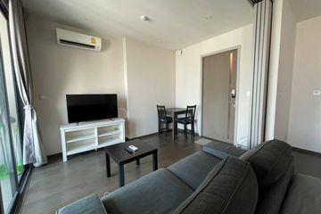 1 Bedroom Condo for rent in Ideo Q Siam-Ratchathewi, Thanon Phaya Thai, Bangkok near BTS Ratchathewi