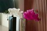 2 Bedroom Condo for rent in Khlong Tan Nuea, Bangkok