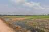 Land for sale in Lam Toi Ting, Bangkok