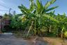 Land for sale in Nong Khang Phlu, Bangkok near MRT Phutthamonthon Sai 4