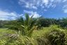 Land for sale in Ao Nang, Krabi